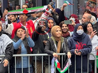 A protestor displaying a swastika at the Oct. 8 rally.